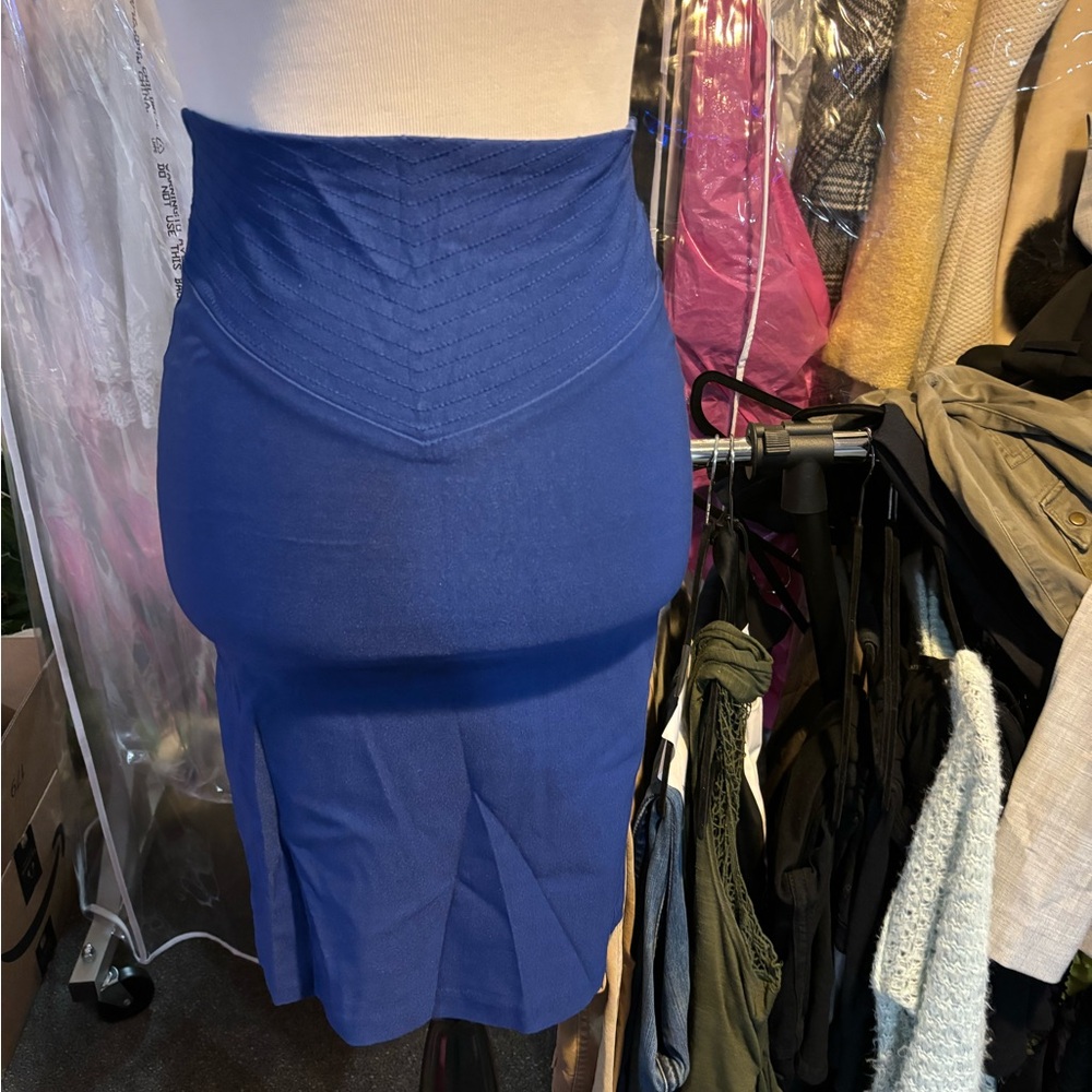 Elegant Blue Women's Skirt